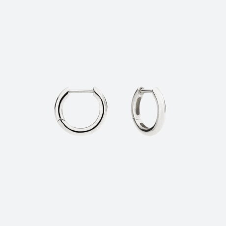 Pendientes Dodo en plata